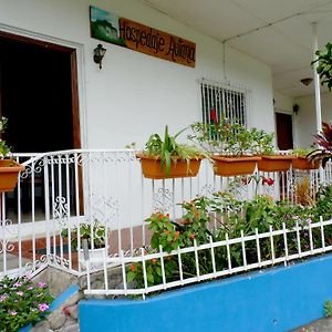 Autana Bed & Breakfast Bed and Breakfast Bajo Bajo Boquete Exterior photo