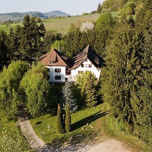 Hotel Gaestehaus Kaltenbach Staufen Exterior photo