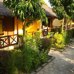 Hotel Mr. B's Place Bardiya Exterior photo