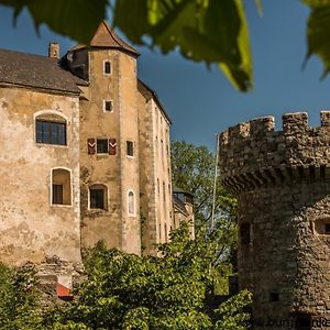 Hotel Burg Plankenstein Texing Exterior photo