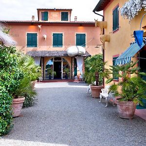 Fattoria Santa Lucia Borgo Alla Cantina Bed and Breakfast San Gervasio Exterior photo