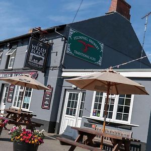 The Welsh Black Inn Llandre Exterior photo