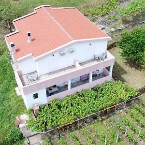 Vrzina Farm House Skadar Lake Villa Virpazar Exterior photo