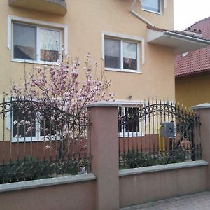 Apartments I & I Beregovo Exterior photo
