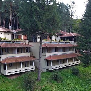 Hotel Restoran Sa Prenocistem Gornjak Krepoljin Exterior photo