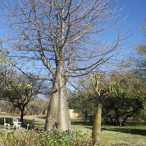 Hotel Mariepskop View Caravan Park Hoedspruit Exterior photo