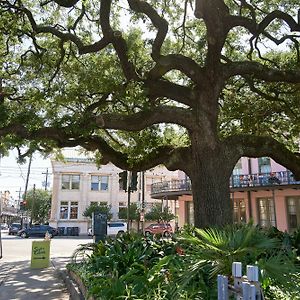 Apartamento Lively 2Br In Irish Channel By Sonder Nueva Orleans Exterior photo