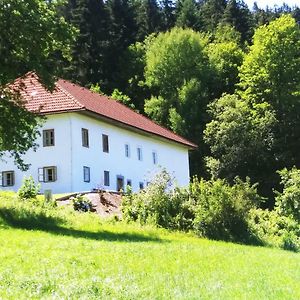 Apartamento Ferienhaus Herrnbauer Zaglau Exterior photo