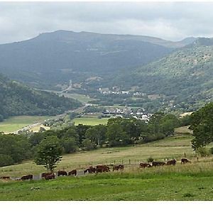 Apartamento Vacances Au Pied Des Monts Du Cantal Laveissière Exterior photo