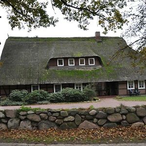 Apartamento Reit- Und Bauernhof Klaucke Trebel Exterior photo