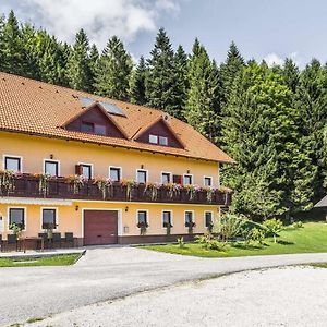 Apartments Planina Pod Sumikom Planina pod Sumnikom Exterior photo