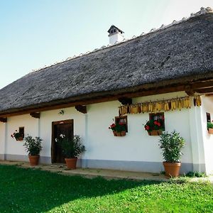 Hrgova Hiska Hostal Ptuj Exterior photo