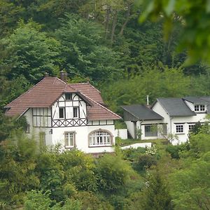 La Dependance De La Villa Des Oiseaux - La Petite Pierre Exterior photo