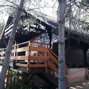 Cañon del río Lobos-La cabaña de Ton Villa San Leonardo de Yagüe Exterior photo