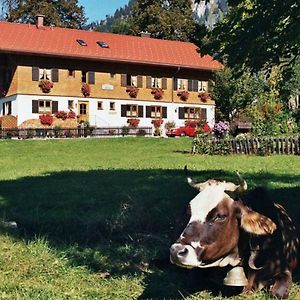 Apartamento Gaestehaus Hedwig Bad Hindelang Exterior photo