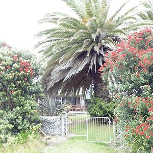 Twin Palms Villa Waikanae Exterior photo