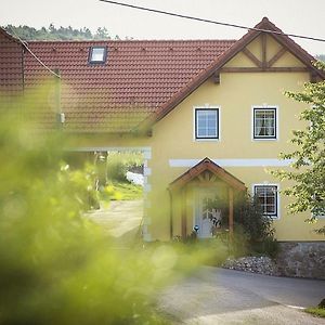 Apartamento Gaestehaus Gnant Winten  Exterior photo