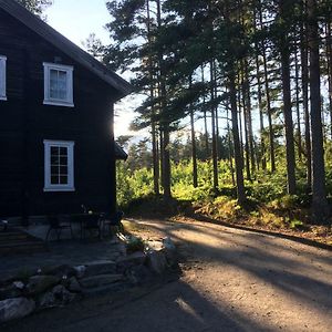 Apartamento Breiva Gjestegaard Og Glamping Bo (Telemark) Exterior photo