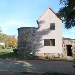 Ferienhaus Kyffhaeuser Villa Bad Frankenhausen Exterior photo