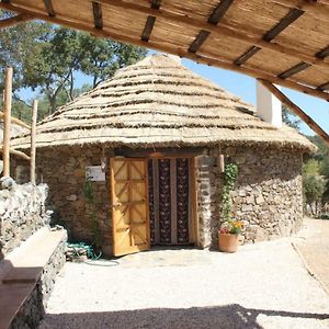 Alojamiento Los Chozos Hostal Cazalla de la Sierra Exterior photo