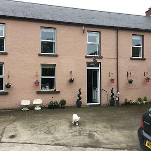 Glenfield Bed and Breakfast Ballymena Exterior photo