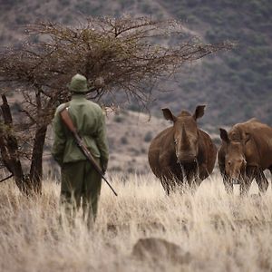 Hotel Elewana Lewa Safari Camp Meru Exterior photo