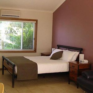 Koala Tree Motel Port Macquarie Room photo