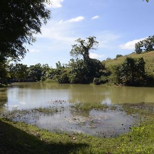 Phuzai Kaew Resort Wang Nam Khiao Exterior photo