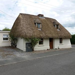 The Thatchers Cottage Kildare Exterior photo