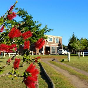 African Adventures Accommodation Durbanville Exterior photo