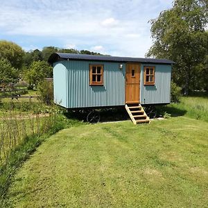 Gaggle Of Geese Pub - Shepherd Huts & Bell Tents Hostal Dorchester Exterior photo