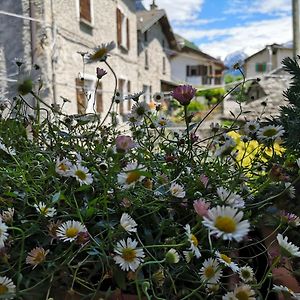 Apartamento San Carlo Chiavenna Exterior photo