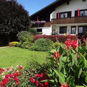 Apartamento Haus Christine Aigen Schlaegl - Moldau Aigen im Mühlkreis Exterior photo