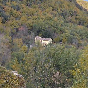 Casa Vacanze - La Casina Di Lalla - Greccio Limiti (Lazio) Exterior photo