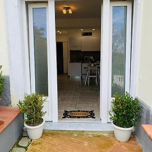 Sunrise Luxury Experience Bed and Breakfast Piano di Sorrento Exterior photo