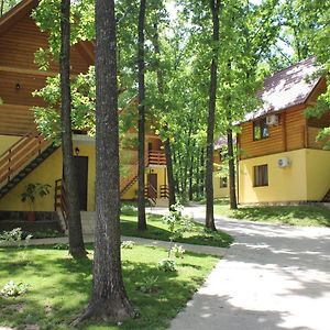 Hotel Вілія Lomacineţi Exterior photo