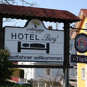 Hotel Gasthof Berg Hochstadt an der Donau Exterior photo