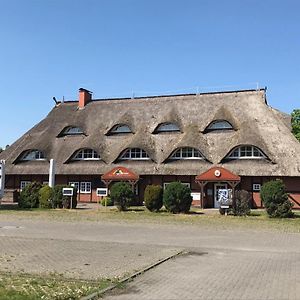 Hotel Haus Ossenkopp Dummer Exterior photo