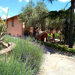 One Bedroom Villa With City View Enclosed Garden And Wifi At Caltanissetta Exterior photo