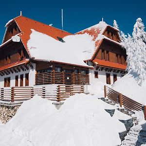 Madarasi Gyopár Panzió Bed and Breakfast Izvoare  Exterior photo