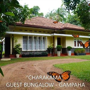 Hotel Charakama Guest Bungalow - Gampaha Exterior photo