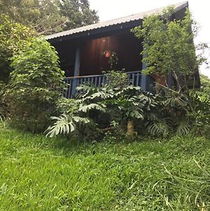 Casitas Rainy Days Monteverde Exterior photo