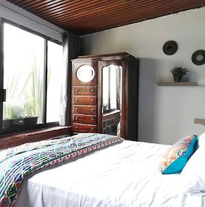 Room In House - Lavanda Suite Polanco, The Stay That You Deserve México DF Exterior photo