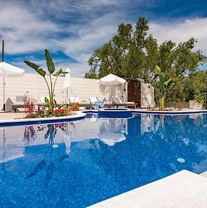 Exclusive Zante Villa Villa Kavelaris Swimming Pool Beautiful Gardens 3 Bdr Tragaki Plános Exterior photo