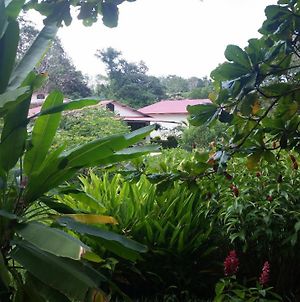 Los Susurros. Casa Bed and Breakfast Palenque Exterior photo