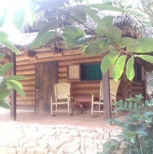 Room in Lodge - Sierraverde Huasteca Potosina Cabins Palo De Rosa Tamasopo Exterior photo