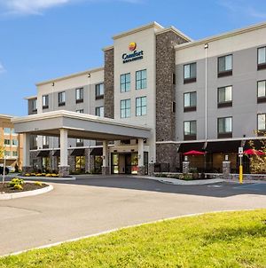 Comfort Inn&Suites Niagara Falls Blvd USA Exterior photo