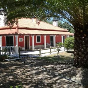 Quinta Do Sobreiro, 4 Bedroom Modernised Farmhouse Tomar Exterior photo