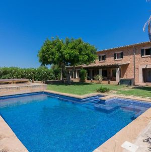 Preciosa casa con piscina a 1 Km de Santa Maria del cami Villa Santa Maria del Cami  Exterior photo