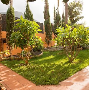 Energy Garden Villa Bajamar  Exterior photo